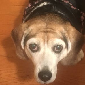 Meet your Posher, Kennedy